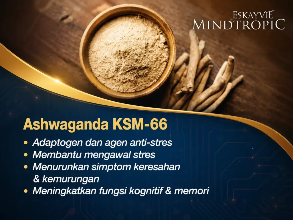 Bahan Ashwagandha KSM-66 dalam Eskayvie Mindtropic