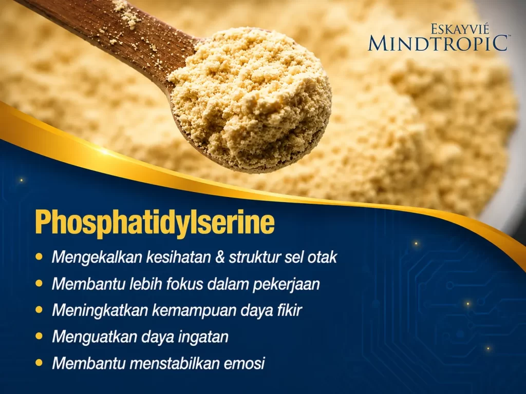 Bahan Phosphatidylserine dalam Eskayvie Mindtropic