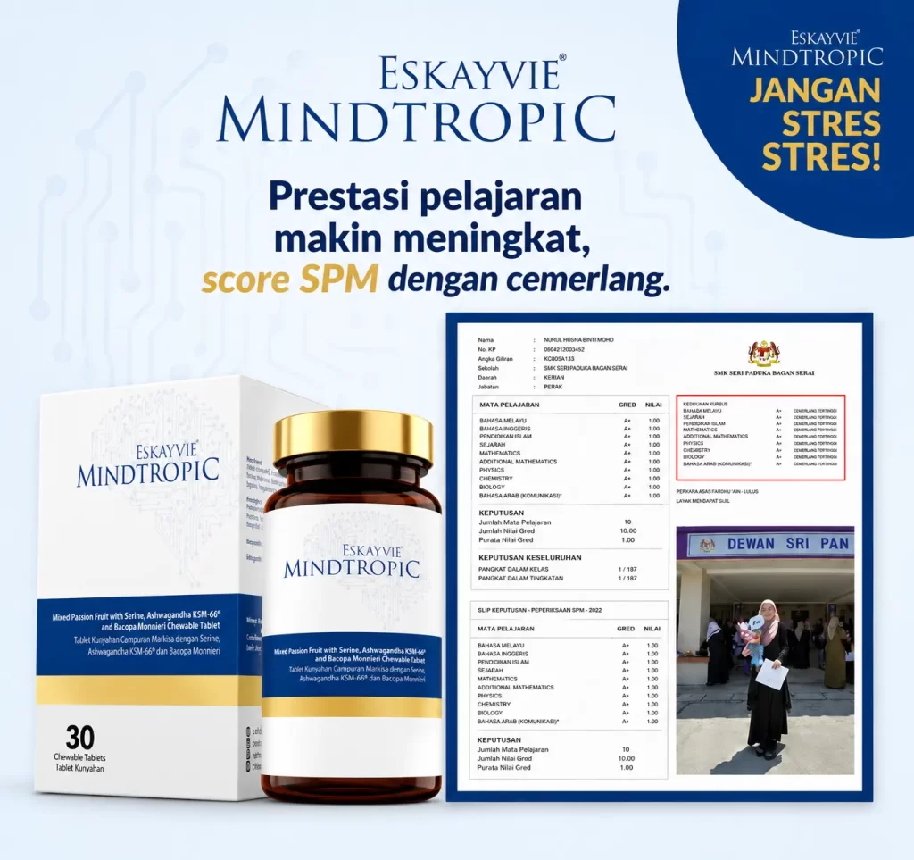 Prestasi pelajaran Score SPM Cemerlang Eskayvie Mindtropic